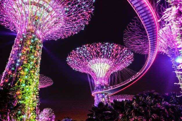Gardens by The Bay at night time, long overnight layover in singapore