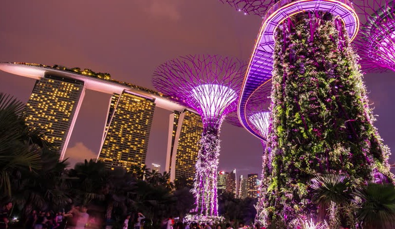 Gardens by The Bay with Marina Bay Sands in background, long overnight layover in singapore