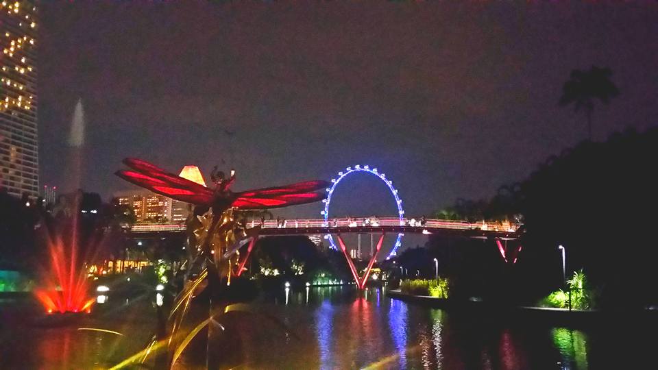 The dragonfly fliers sculpture in Gardens by The Bay, long overnight layover in singapore