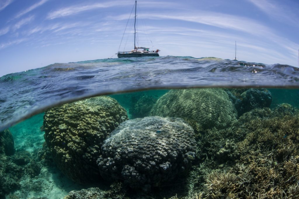 Diving in New Caledonia