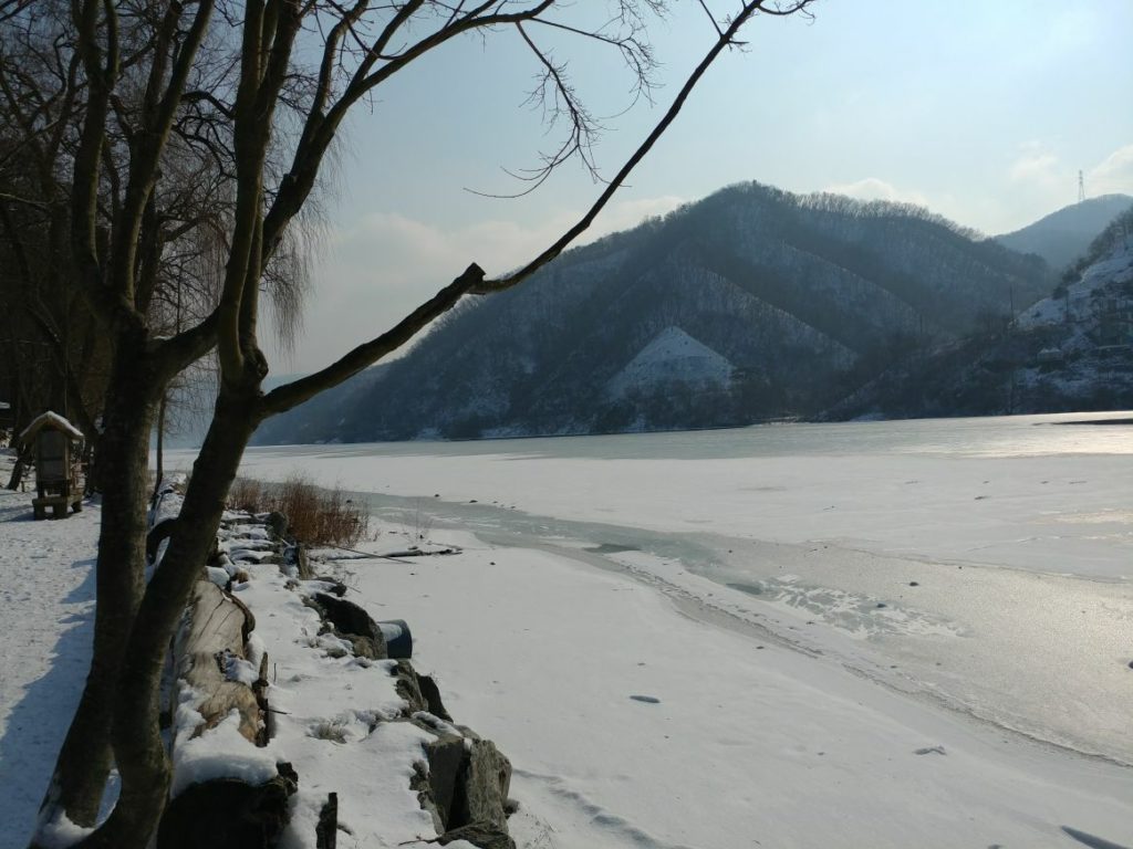 Frozen Nami Island Winter South Korea