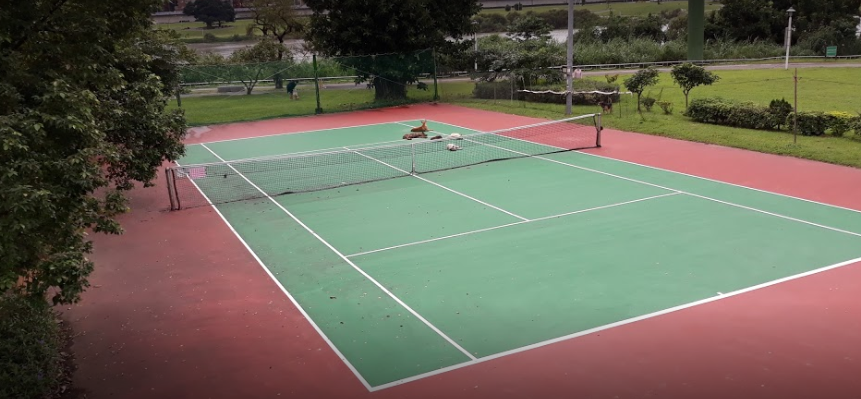 Riverside_Parks_in_Taipei_Tennis_Court