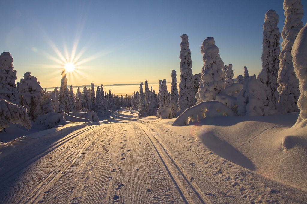 Rovaniemi road Finland, Should I pay a Travel Agent for Rovaniemi