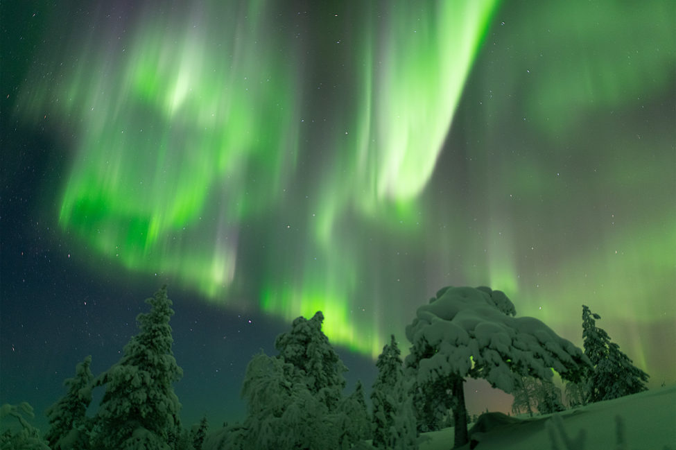 Aurora Borealis in Lapland Rovaniemi Finland