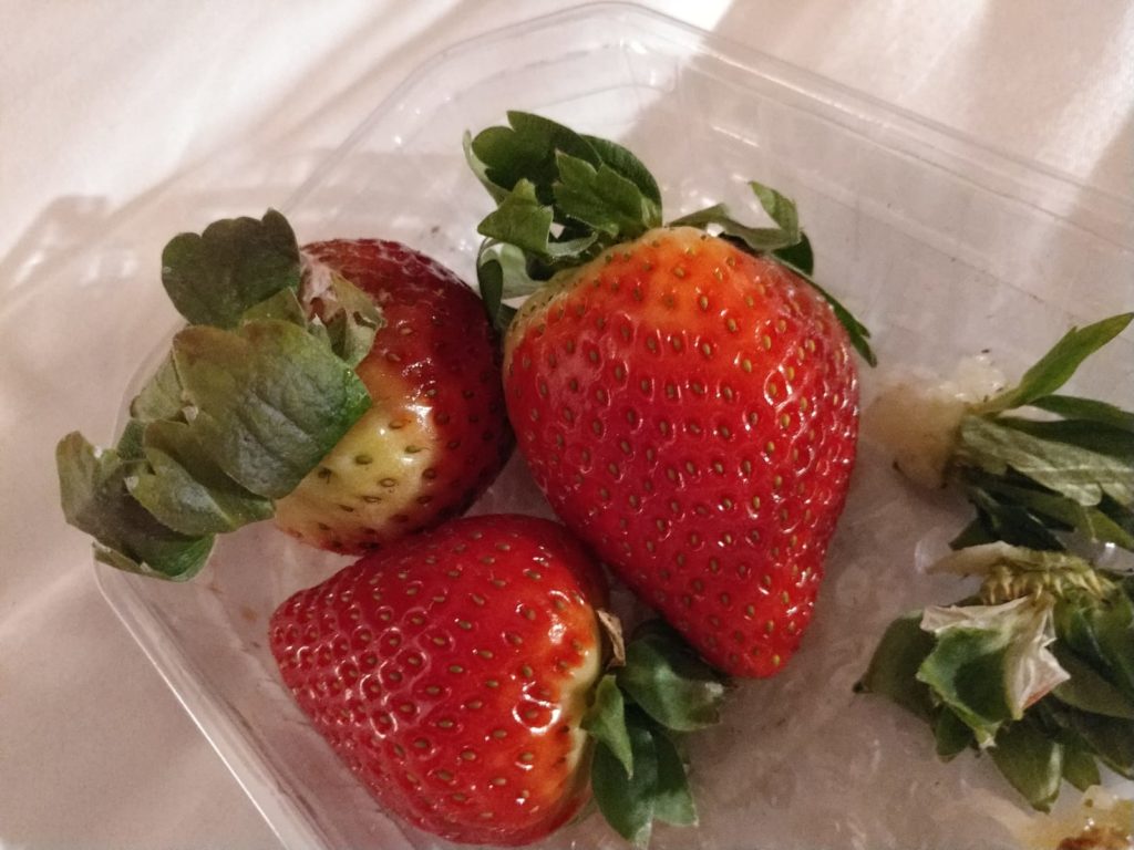 Big strawberries in Rovaniemi Finland