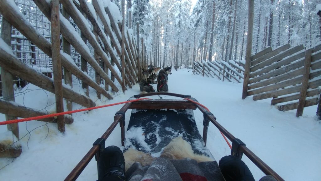 Reindeer sleigh in Rovaniemi Finland