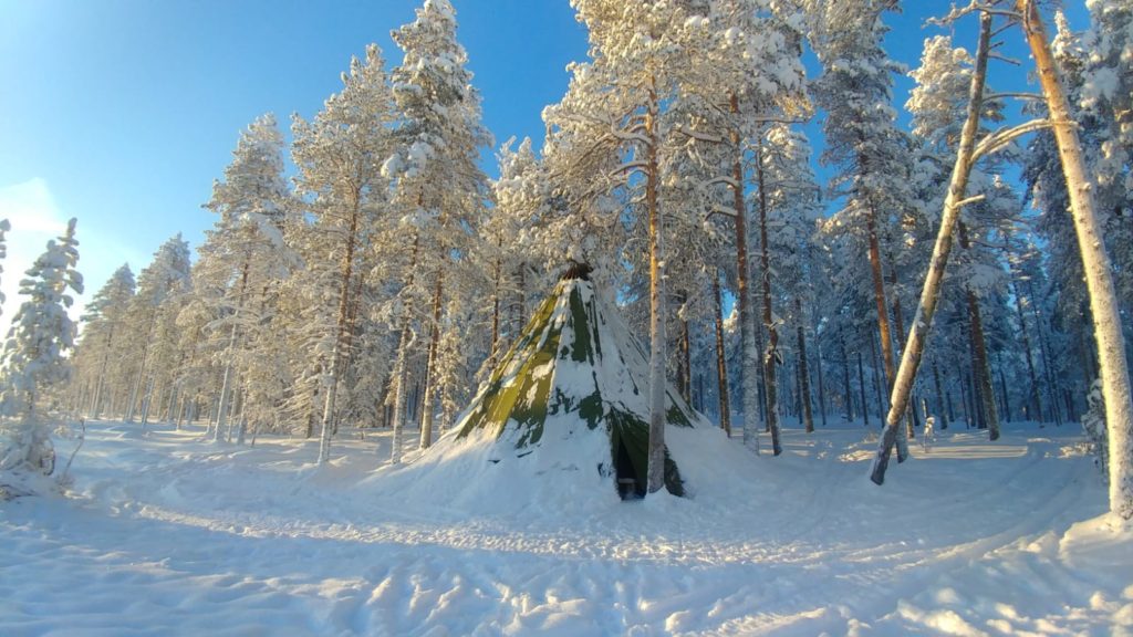 TIPI in rovaniemi woods during winter