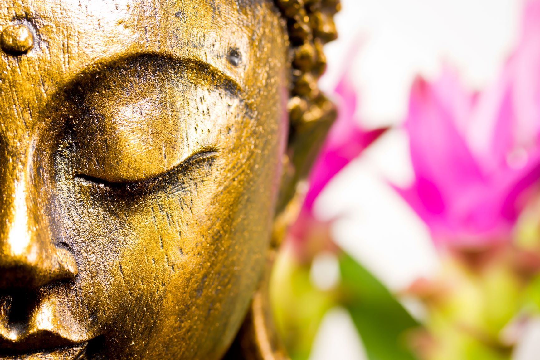 Budha Face with Lotus Flowers in the Background