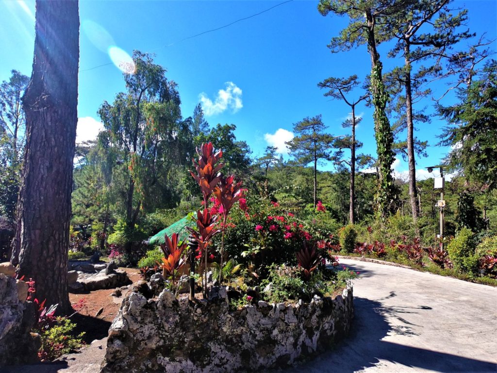 Hotel View in Baguio, pines and flowers, the best place to stay in Baguio