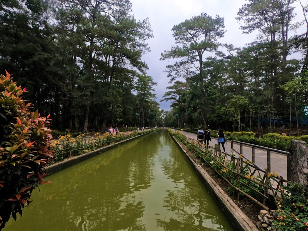 wright park in Baguio, view of pool of pines, a place you must visit in Baguio