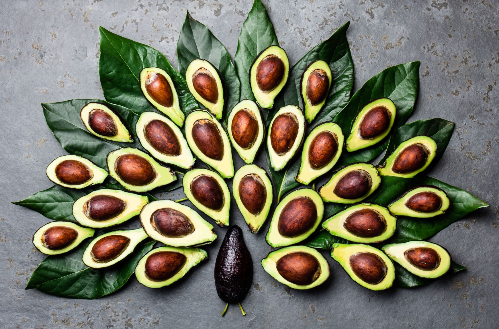 A-beautiful-avocado-arrangement-avocado-recipes-and-health-benefits