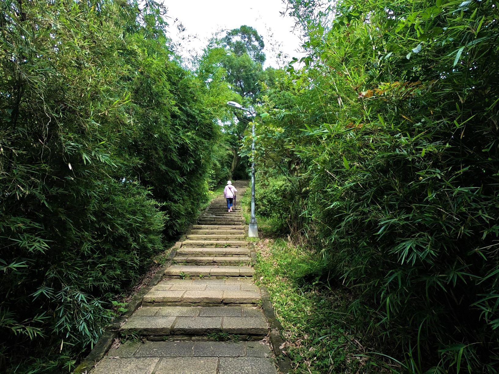 hiking-trail-in-Taipei-near-the-city