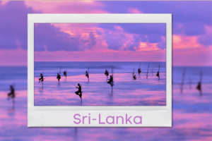 Travel Cheap Sri Lanka